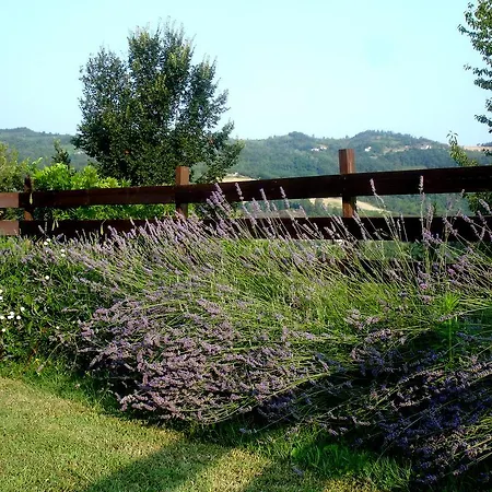 Bed & Breakfast Cascina Ciosse Grognardo