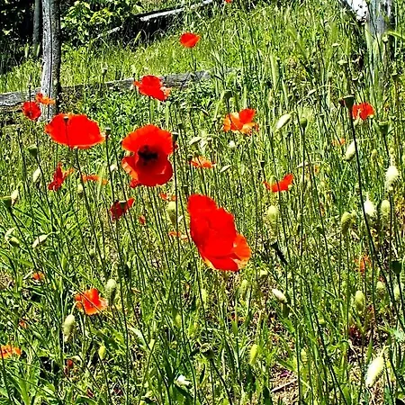 Bed & Breakfast Cascina Ciosse 3*