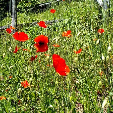 Frühstückspension Cascina Ciosse 3*