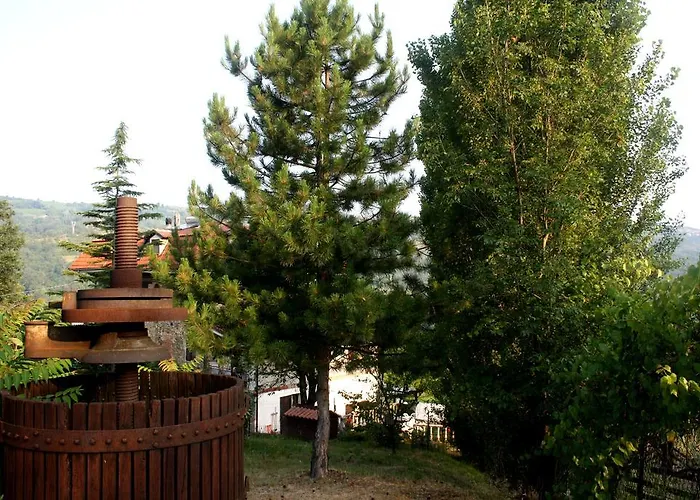 Cascina Ciosse Bed & Breakfast Grognardo