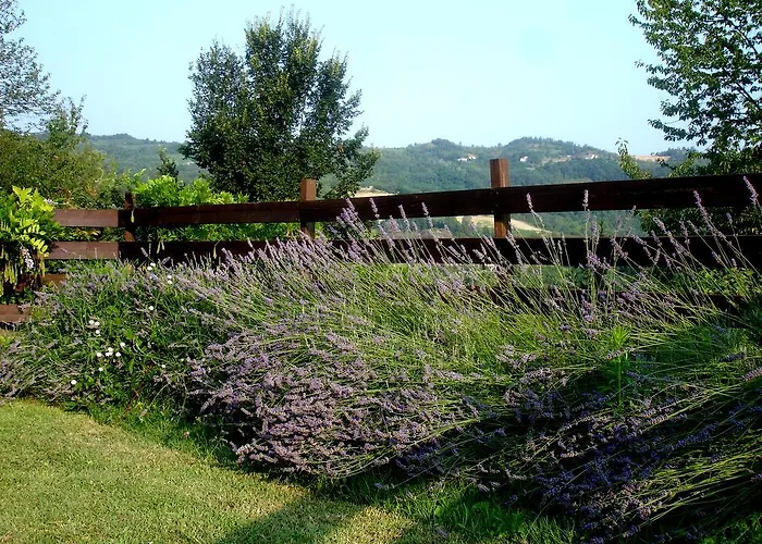 Bed & Breakfast Cascina Ciosse Grognardo